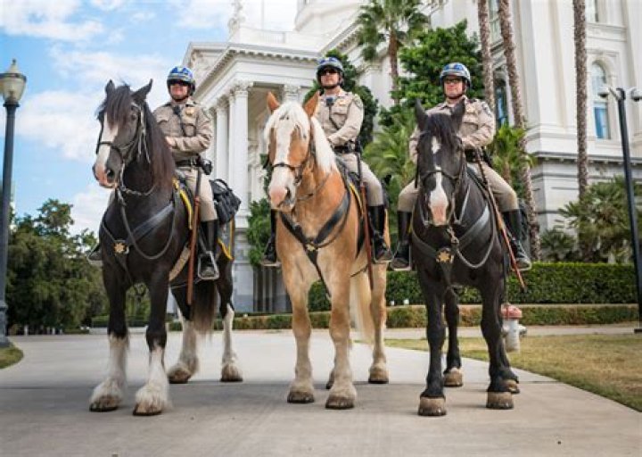 Fame | Eric Musselman net worth and salary income estimation Jan, 2024