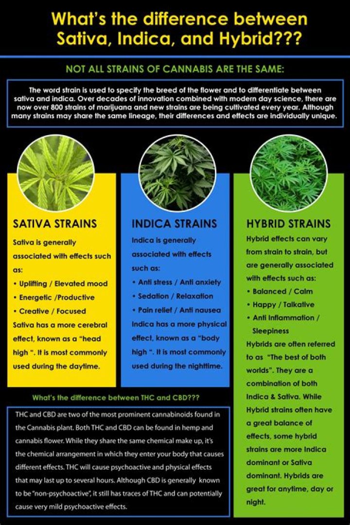 Health Benefits Unveiled: Choosing Between Hybrid, Sativa, and Indica
