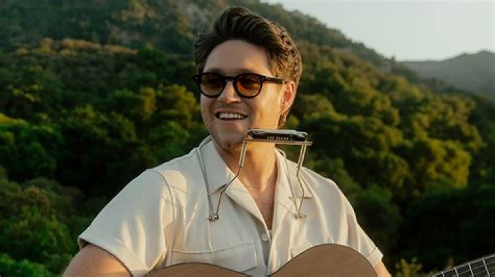 Niall Horan Drops Brand New Single & Music Video For 'Nice To Meet Ya'