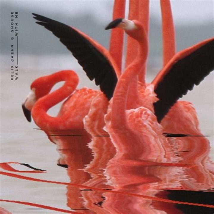 The Vamps Team Up With Alok And Felix Jaehn To Release 'All The Lies'